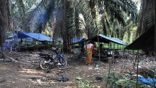 Pondok Orang Rimba
