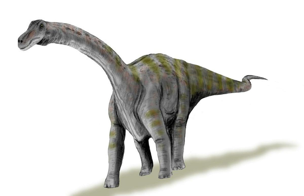 8 Titanosaurus Terbesar: Mengungkap Rahasia Raksasa Zaman Kapur