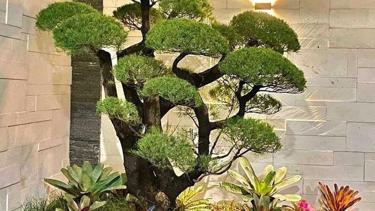 Taman dengan Tanaman Penerangan Malam