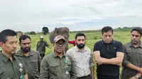 Kemenhut Gandeng Vantara India, Revitalisasi Rumah Sakit Gajah Way Kambas