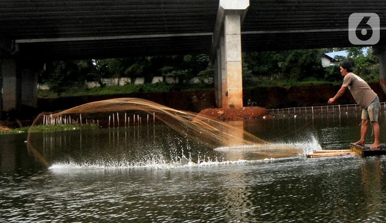 Warga menangkap ikan dengan jala di bawah jalan Tol Serpong-Cinere, Setu Sasak Tinggi, Pamulang, Tangerang Selatan, Banten (6/4/2021). Setu Sasak Tinggi dimanfaatkan warga menangkap ikan mujair. (merdeka.com/Arie Basuki)
