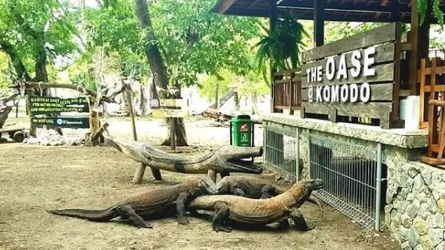 Taman Nasional Komodo
