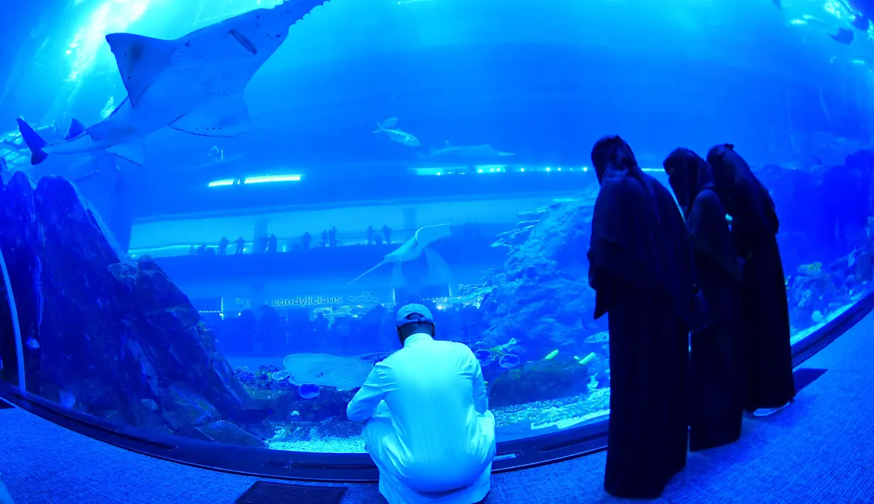 Wisatawan mengunjungi akuarium Dubai Mall di pusat kota Dubai, Uni Emirat Arab pada Rabu (2/1). Akuarium Dubai ini menawarkan pemandangan penuh ikan, dengan hiu macan dan pari yang berenang bersamaan. (GIUSEPPE CACACE / AFP)