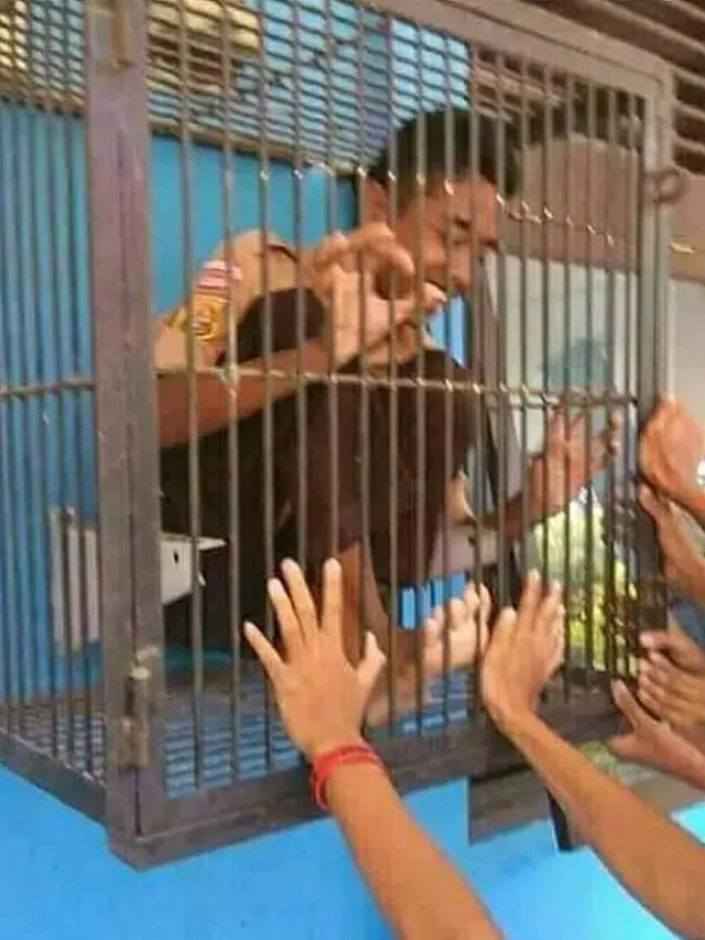 6 Isi Kandang Burung Ini Nyeleneh Banget, Enggak Habis Pikir