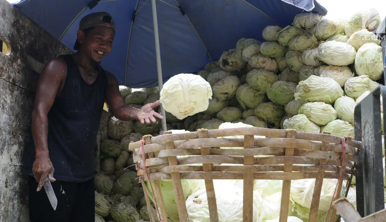 Pedagang memilah sayur kol di pasar induk Kramat Jati, Jakarta, Jumat (26/4). Kementerian Perdagangan siap menjaga harga dan ketersediaan barang kebutuhan pokok menjelang Puasa dan Lebaran 2019. (Liputan6.com/Herman Zakharia)