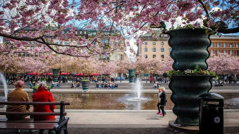 Tak Hanya Jepang, Potret Keindahan Bunga Sakura di 6 Negara Dunia Ini Bikin Takjub
