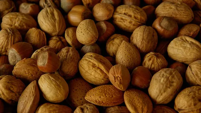 Manfaat Luar Biasa Kacang Hazelnut untuk Kesehatan, Rambut dan Kulit