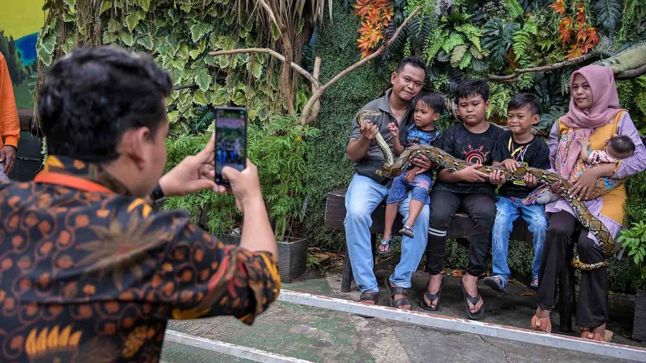 FOTO: Kebun Binatang Surabaya Jadi Pilihan Wisata Edukatif Selama Libur Akhir Tahun