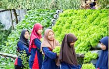 Mengenal Pomosda Nganjuk, Pesantren Modern Tertua di Indonesia yang Punya Program Ngaji Tani