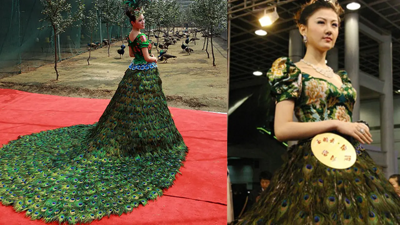 Gaun Pengantin Bulu Merak