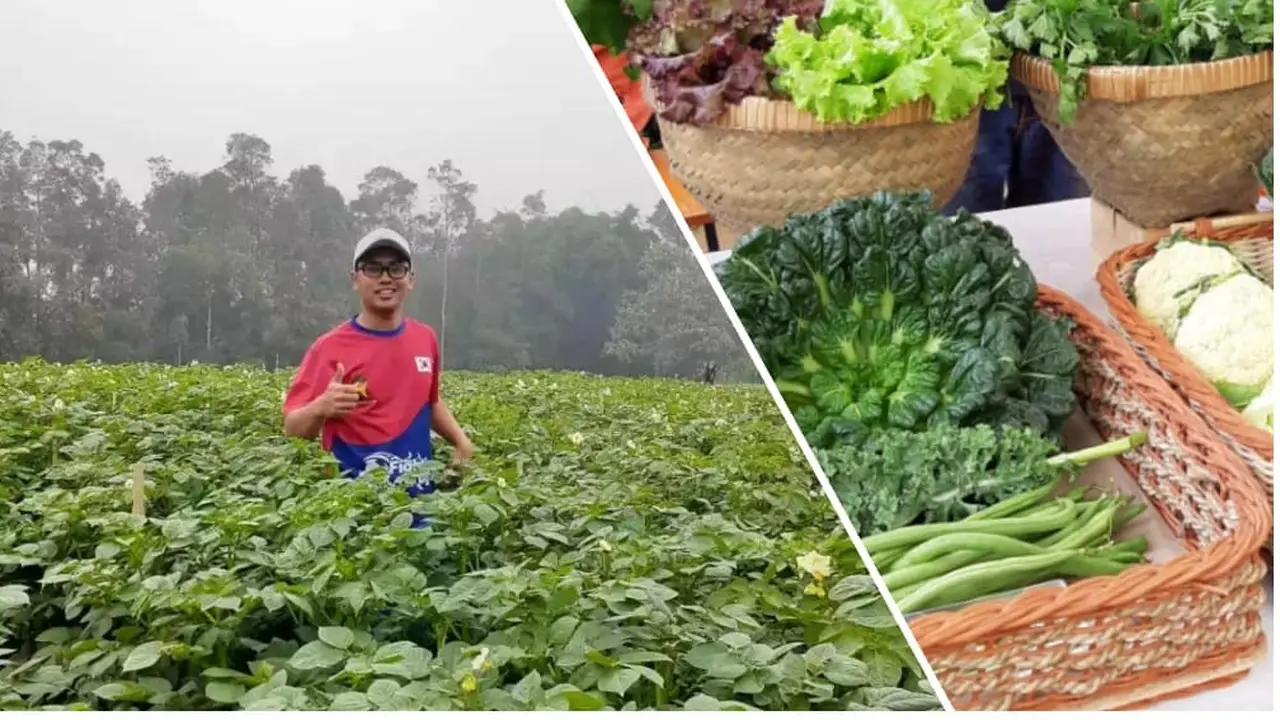 Petani Milenial Kementan BPPSDMP