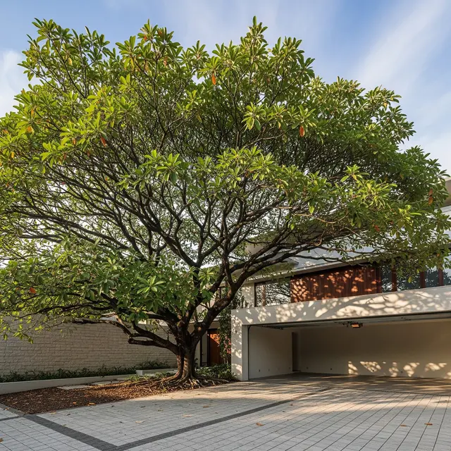 Pohon yang Cocok untuk Area Garasi Outdoor di Depan Rumah (AI Generated)