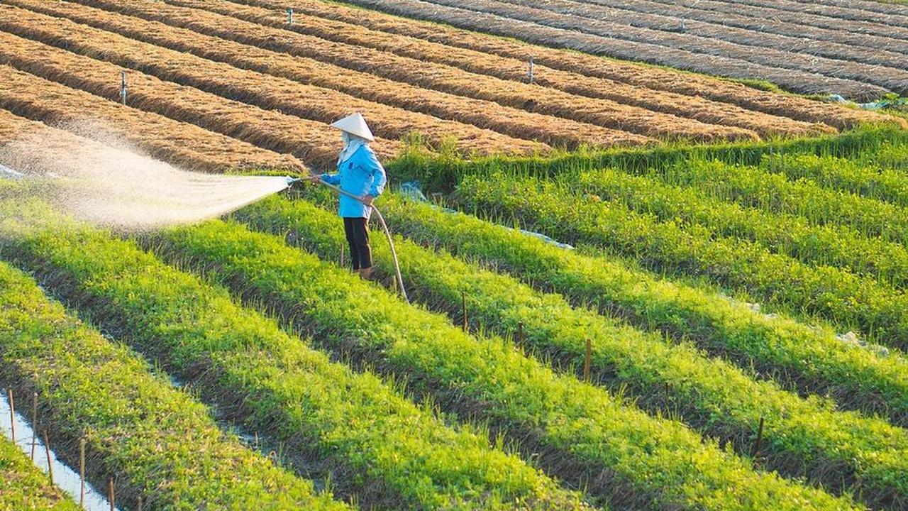 Daya Tarik Desa Wisata Kemetul