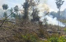 Tepergok Bakar Lahan untuk Buka Kebun, Petani di Musi Rawas Ditangkap Polisi
