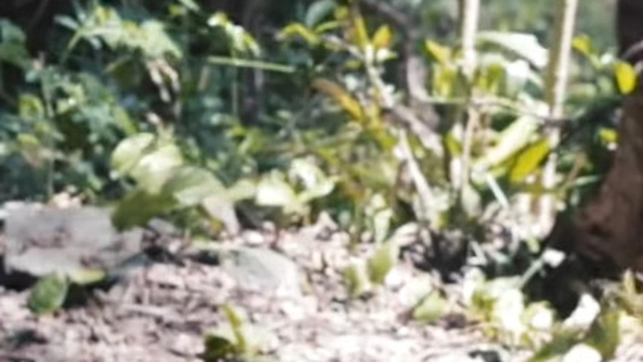 Dulu Disinggahi Sunan Kalijaga