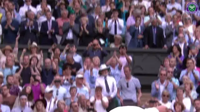 Novak Djokovic mempunyai tradisi aneh yakni mencium dan mencicipi rumput lapangan di WImbledon.