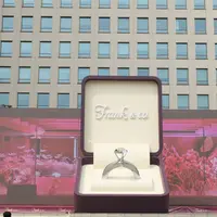 Perayaan Frank & Co ke-28 dimeriahkan secara spesial dengan rilisan koleksi terbaru serta pameran perhiasan mewah.