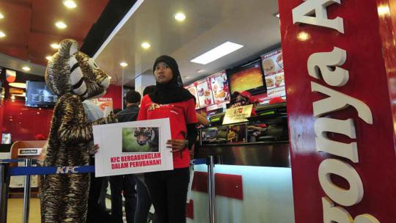 Aksi macan berunjuk rasa di restoran KFC