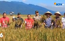 Kelompok Tani di Semarang Ini Buktikan Hasil Panen Lebih Produktif Gunakan Pupuk Organik, Lebih Ekonomis dan Bikin Tanah Subur