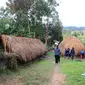 Honai di Desa Auktama, Wamena, Papua (Foto: Liputan6.com/Fitri Haryanti Harsono)