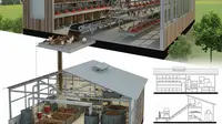 8 Desain Kandang Ayam dengan Tempat Pengolahan Kotoran Jadi Pupuk, Inovatif