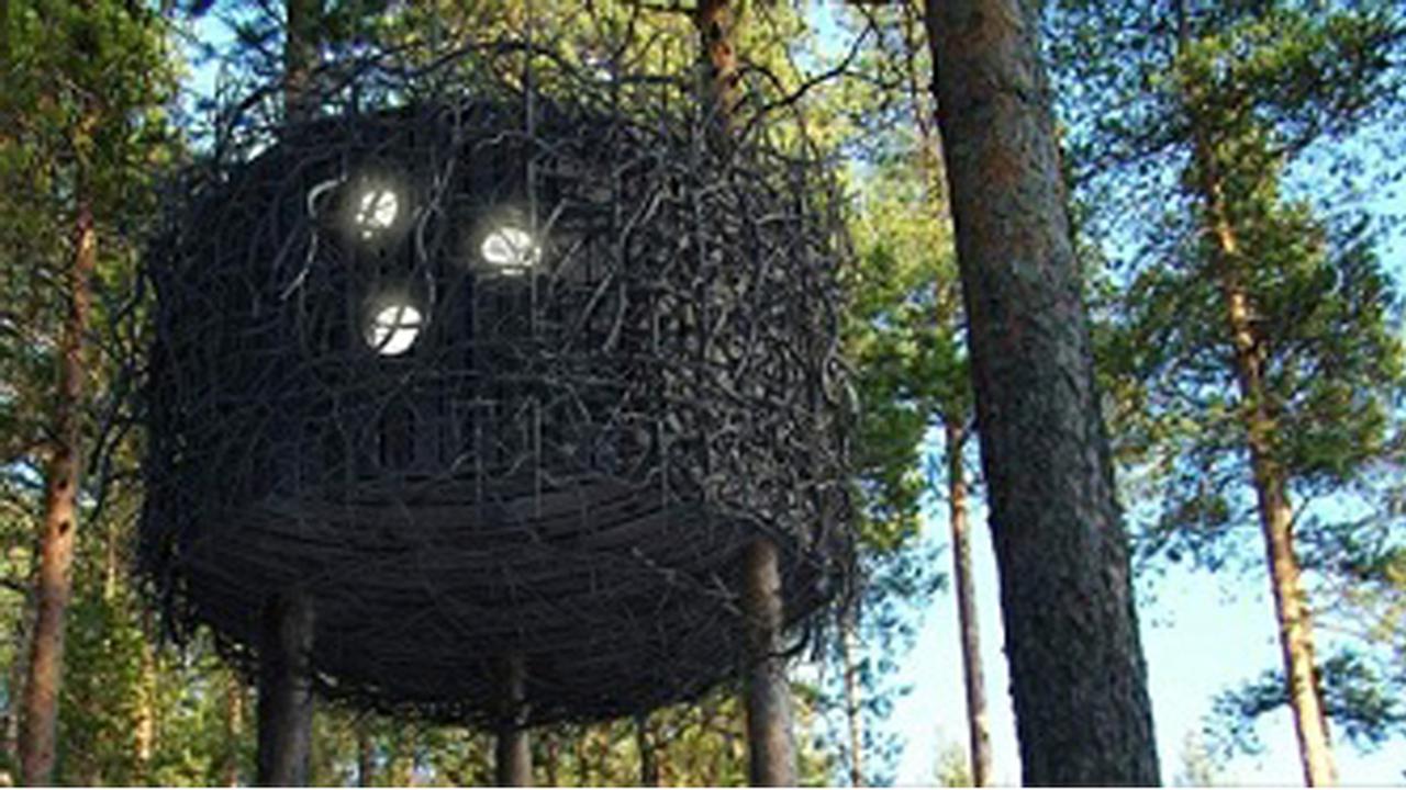 Sensasi Negeri Dongeng di Rumah Pohon Unik