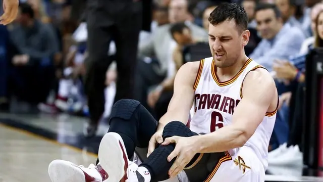 Andrew Bogut