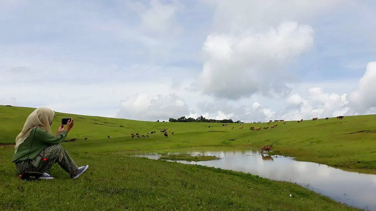 Fulan Fehan di Atambua NTT tak kalah cantik dari New Zealand