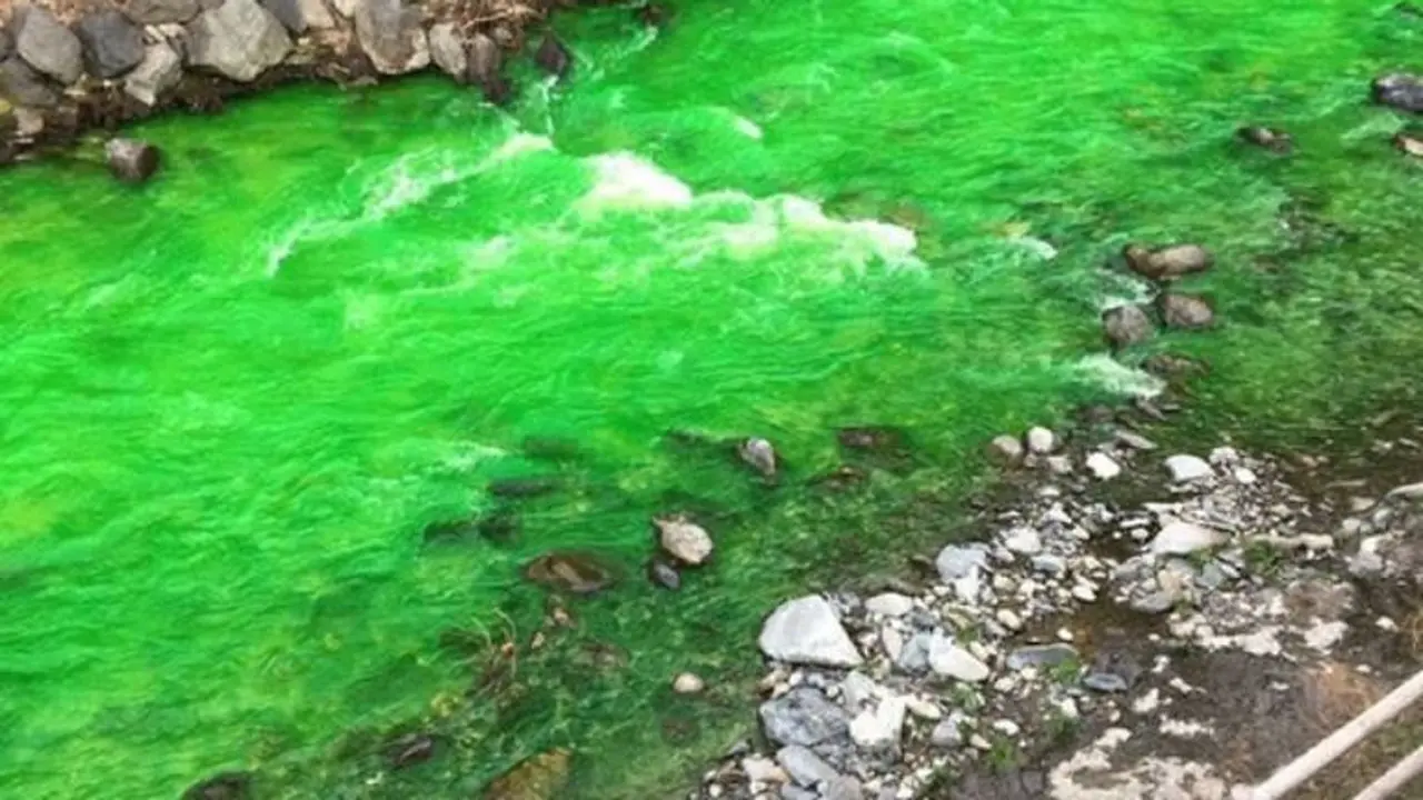 Warga Panik, Sungai Mendadak Berubah Warna Jadi Hijau