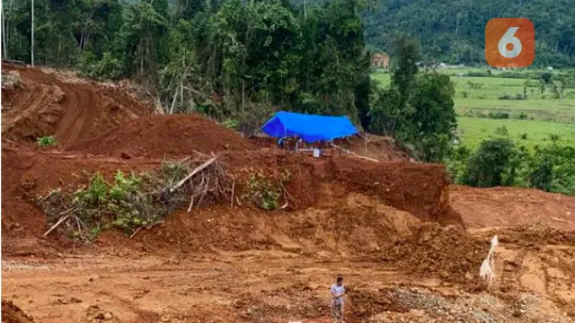 Aktivitas dugaan pertambangan ilegal di Desa Korolama, Morowali Utara (Liputan6.com/istimewa)