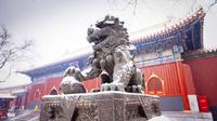 Ilustrasi salju di China (iStock)
