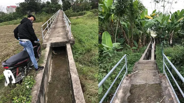 Pakai Google Maps, Pemuda Ini Malah Nyasar Lewat Kebun Pisang