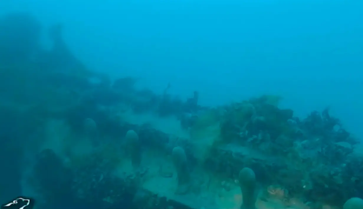 Sebuah gambar yang ditangkap dari rekaman video dari kapal penelitian Martin Bergmann menunjukkan kondisi puing HMS Terror di perairan Teluk Teror, sekitar pantai Pulau King William, Kanada (3/9). (Courtesy Arctic Research Foundation/Handout via REUTERS)