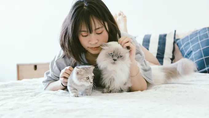 Mitos Atau Fakta Bahwa Cat Person Lebih Cerdas Daripada Dog Person? (photo by pexels.com)