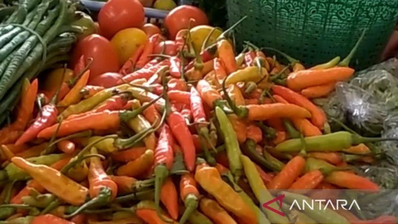 Harga Cabai Rawit Merah Purwokerto Masih Tinggi Akibat Cuaca Ekstrem
