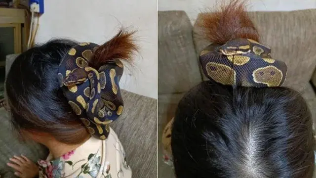6 Potret Ikat Rambut dari Ular Ini Bikin Bergidik, Ngeri Banget