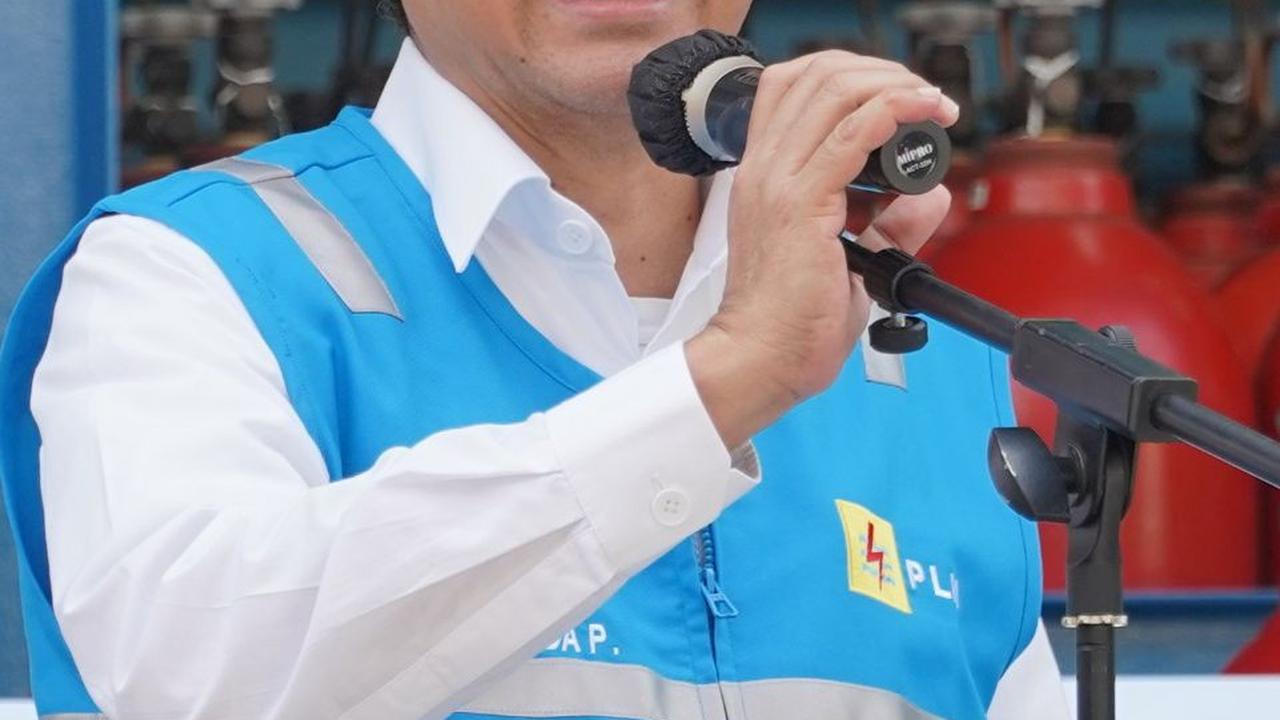 Plant Pertama di Indonesia, Kementerian ESDM: PLN Miliki Cara Paling Cepat Hasilkan Green Hydrogen