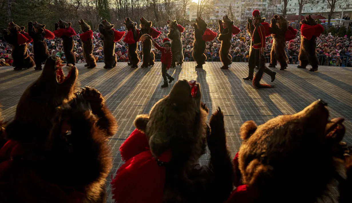 Kebiasaan itu kini dikenal sebagai Festival Beruang Menari, yang menarik banyak wisatawan setiap bulan Desember. (AP Photo/Vadim Ghirda)