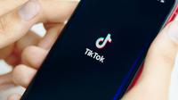 Ilustrasi Aplikasi TikTok Credit: freepik.com