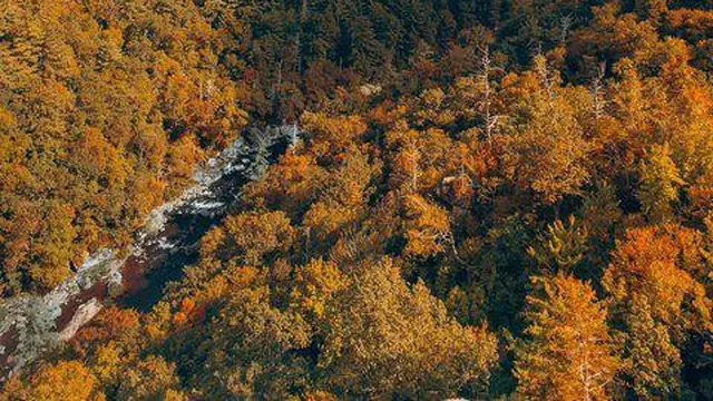The 8 Most Beautiful Places in North Carolina You Should Not Miss Out