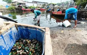 Laut Tarumajaya Bekasi Diduga Tercemar, DPRD Usut Penyebabnya