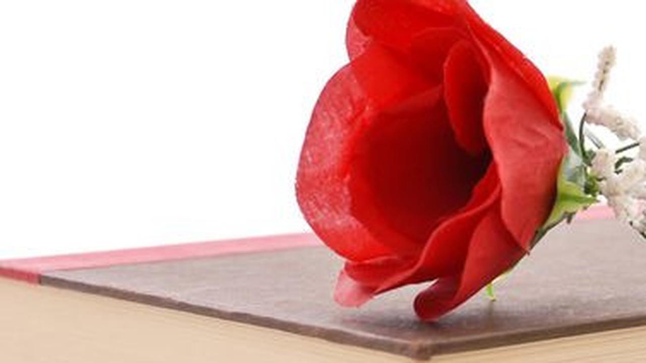 Perbedaan Cerpen dan Novel, Patut Dipahami bagi para Pecintanya