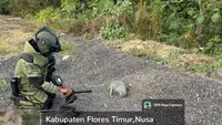 Bom Rakitan Ditemukan Dekat Rumah Kades Pascakonflik Adonara