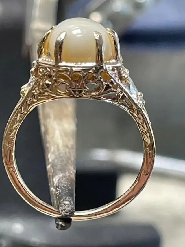Kerang mutiara