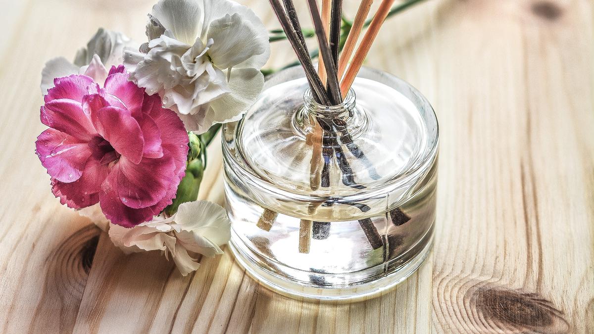 10 Tanaman untuk Minuman &amp; Aromaterapi yang Mudah Ditanam di Rumah