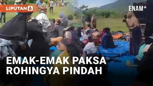 Kedatangan ratusan hingga ribuan pengungsi Rohingnya ke Aceh belakangan tengah disorot. Sejumlah pengungsi dituding tidak berperilaku baik saat ditampung hingga menuai kecaman publik. Salah satunya momen emak-emak yang memaksa pengungsi Rohingnya ber...