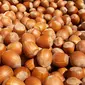 Kacang hazelnut (Via: en.wikipedia.com)