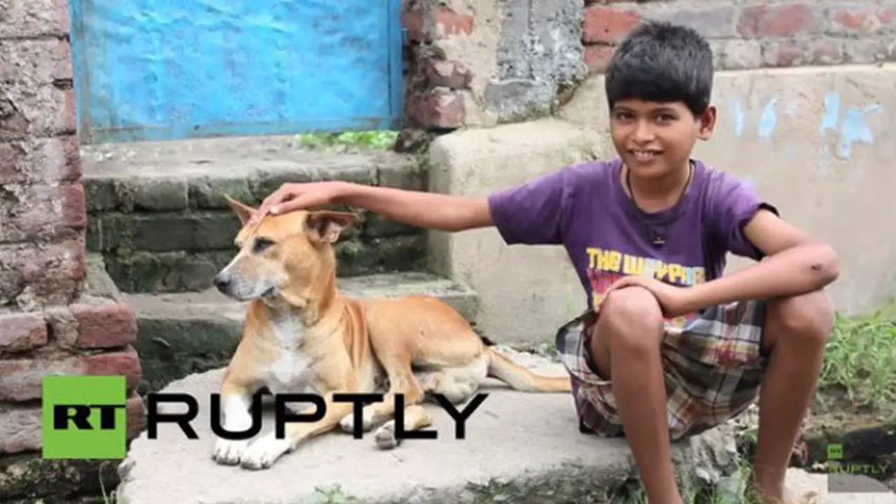 Tak Lazim, Bocah Ini Gemar Menyusu Pada Anjing Liar
