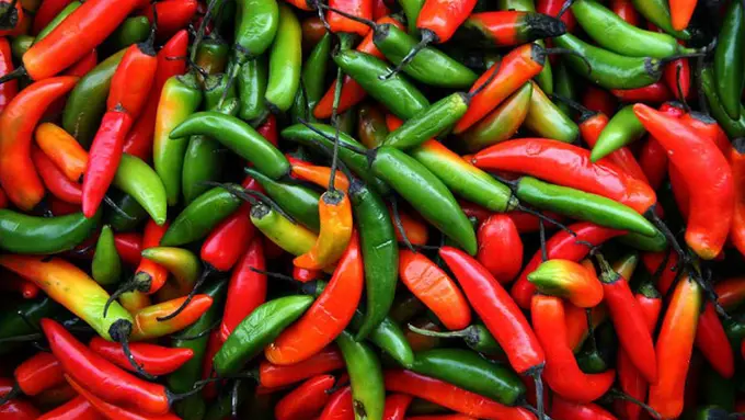 8 Faedah Tersembunyi dari Makanan Pedas yang Jarang Diketahui