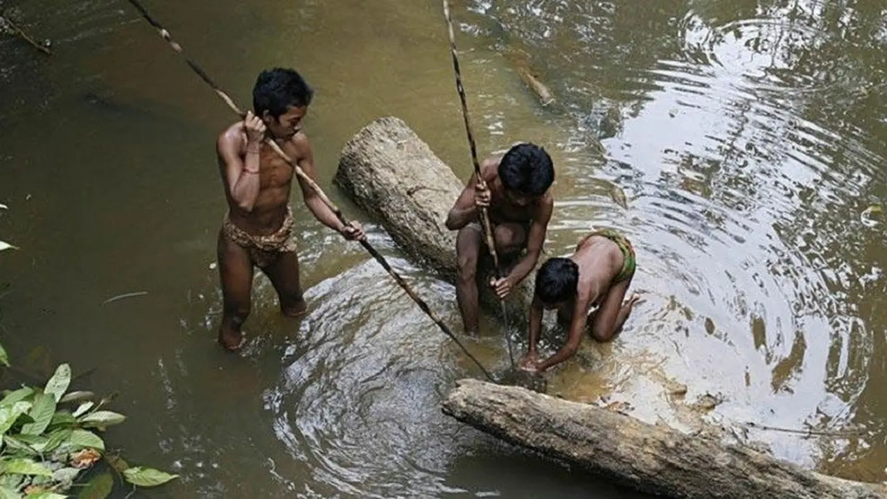 Orang Rimba Jambi Turut Jadi Penyelenggara Pilkada 2017